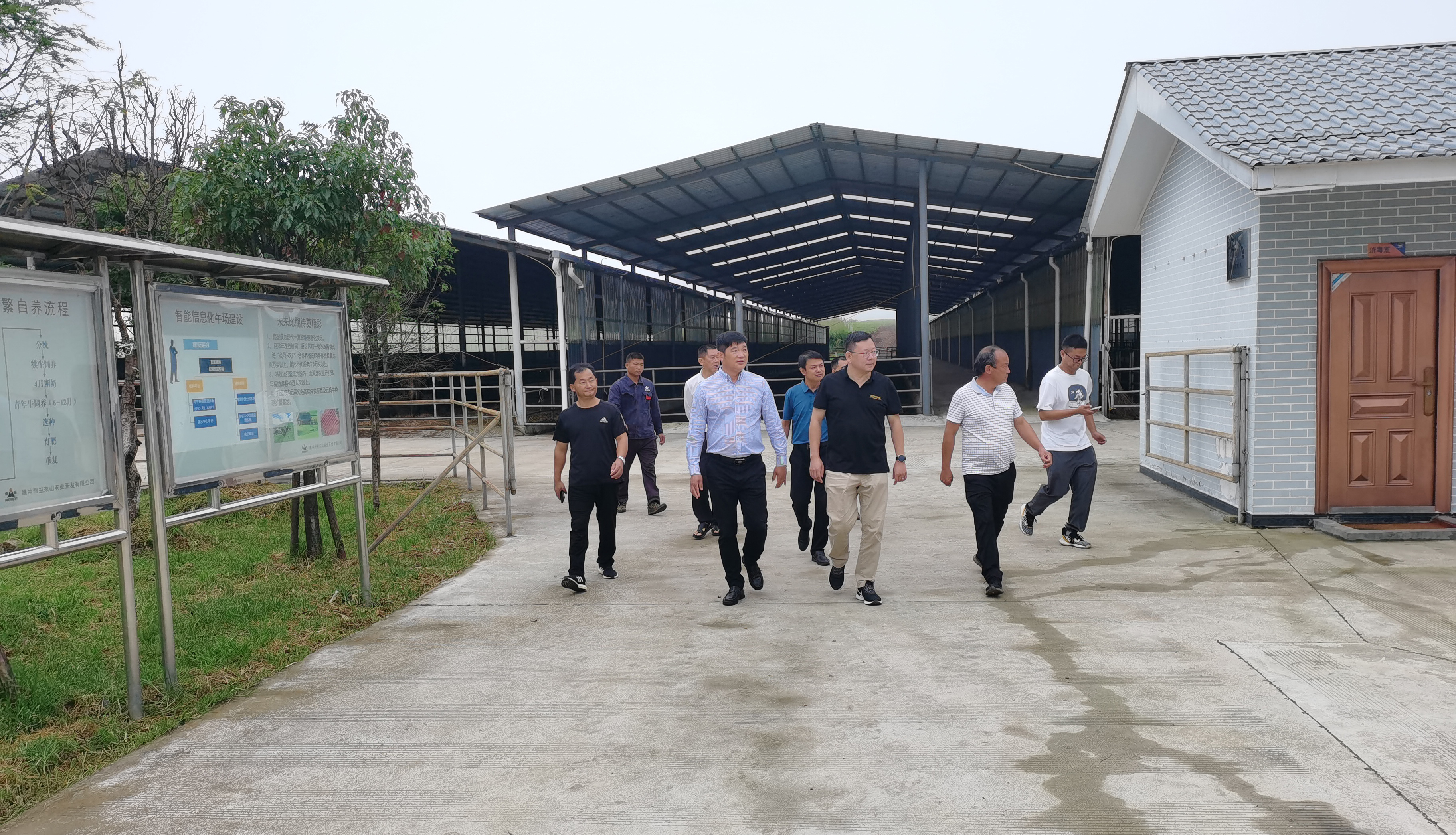 騰沖市政府李青海副市長一行蒞臨恒益集團東山農業公司考察