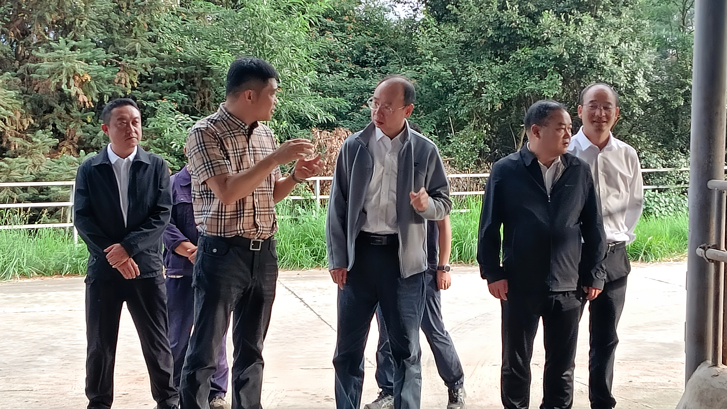 保山市市長率隊調研恒益集團云嶺牛產業發展情況